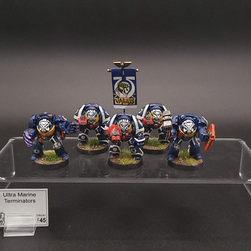 Ultramarine Terminators