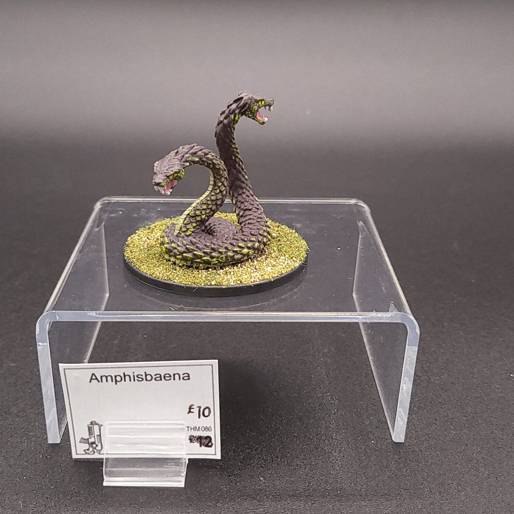Amphisbaena