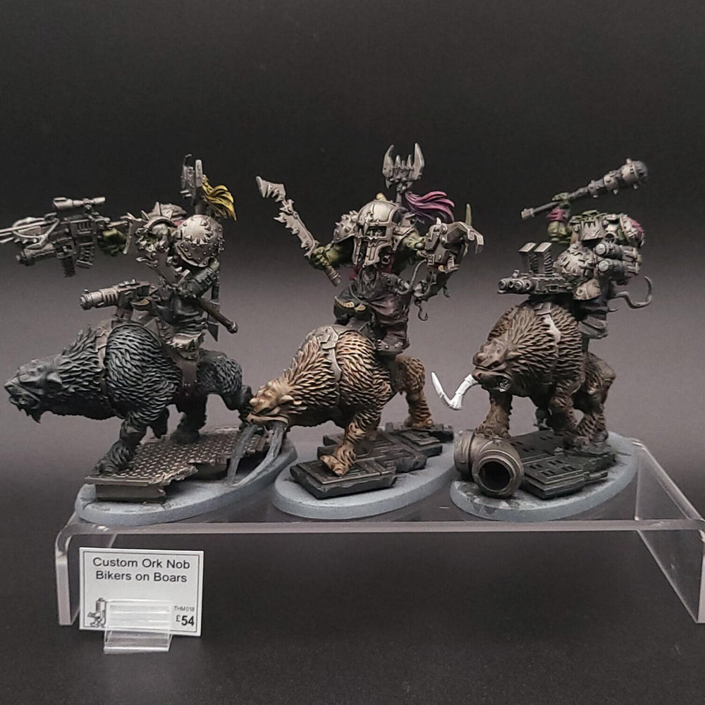 Custom Ork Nob Bikers on Boars