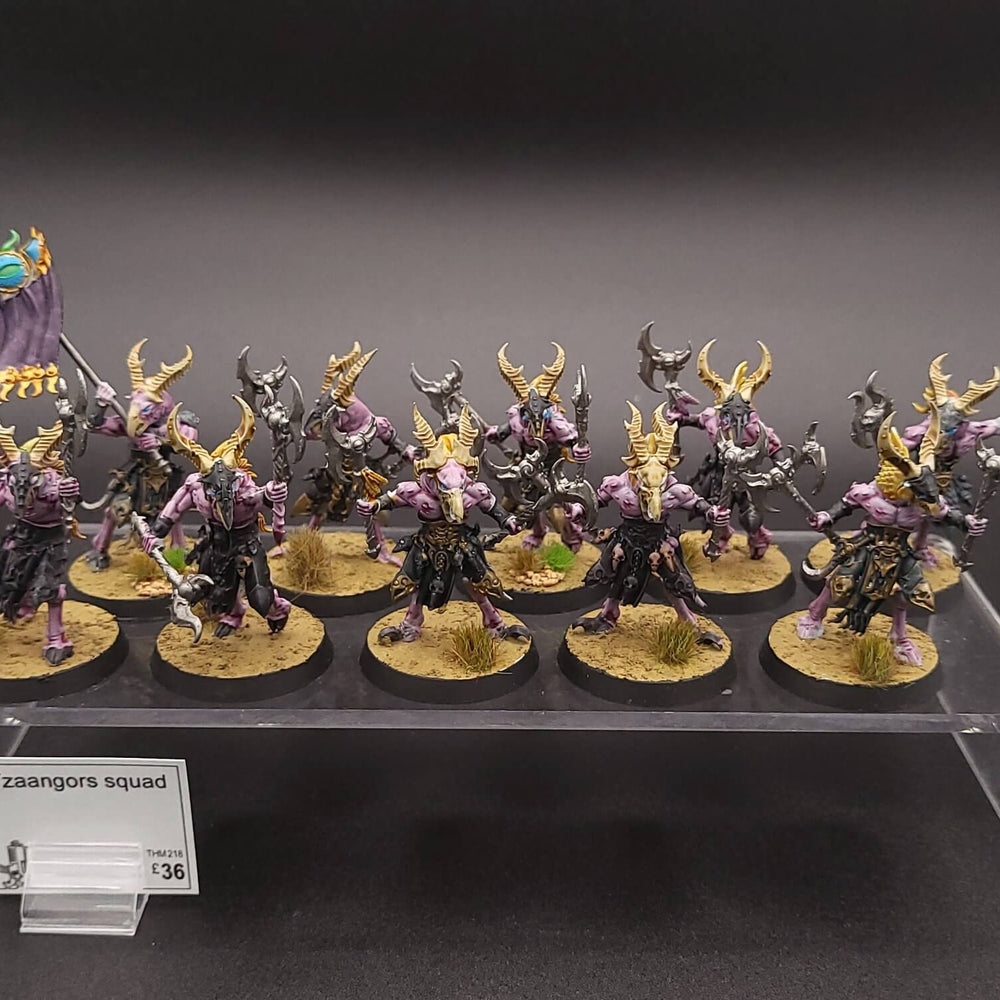 Tzaangors Squad