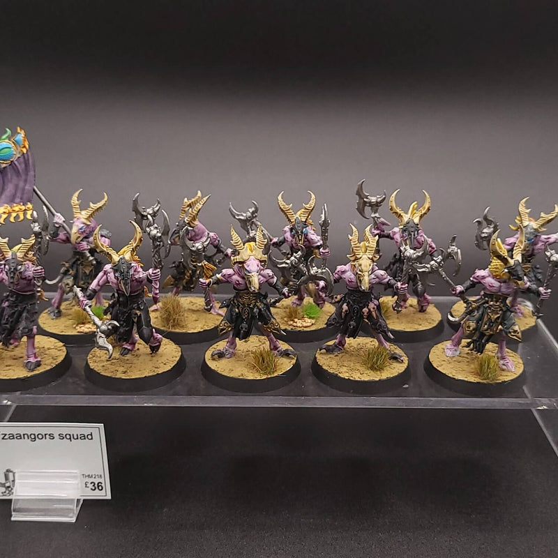 Tzaangors Squad