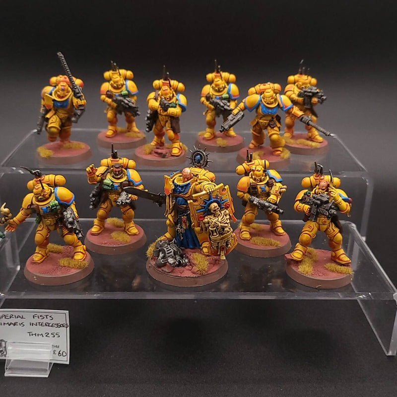 Imperial Fists Primaris Intercessors