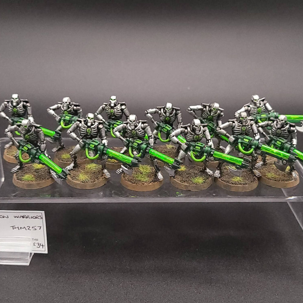 Necron Warriors