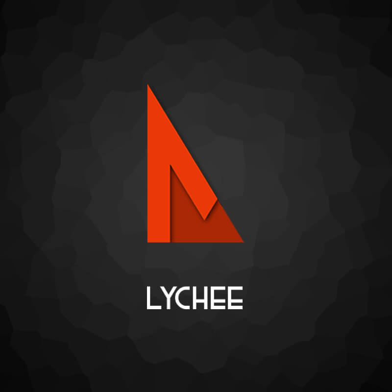 Myth & Mix Lychee 500ml